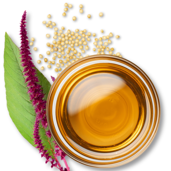 ogaenics_ingredient_Amaranthseed-Oil_900x1200pi Ogaenics_Zutaten_Amaranthsamen-Oel