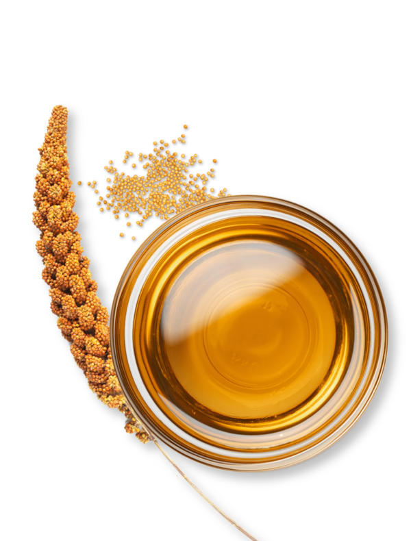 ogaenics_ingredient_milletseed-Oil_mOel_900x1200pi Ogaenics Zutaten Hirse-ÖlKeranat mit Miliacin