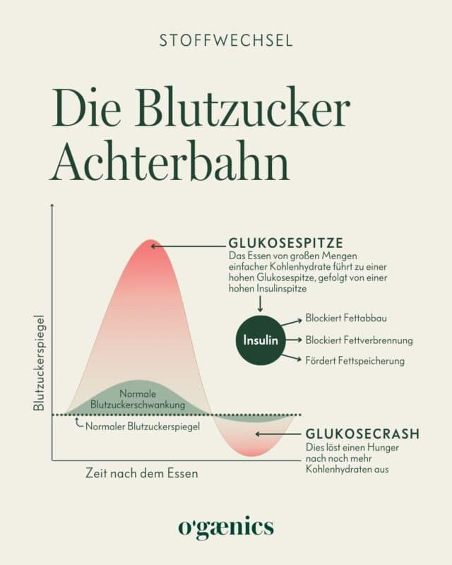 Infografik-Blutzucker-Achterbahn-ogaenics
