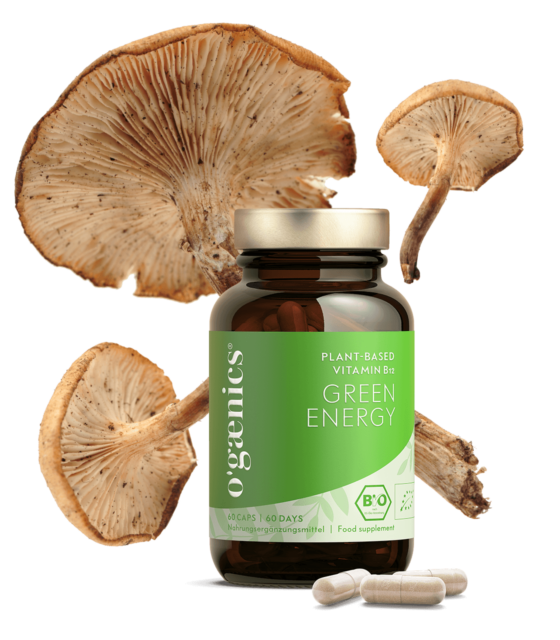 ogaenics-greenenergy-vitaminb12-muedigkeit-bio-nahrungsergaenzung