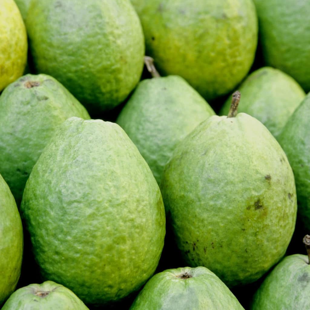 Ogaenics-bio-zutaten-natuerliche-vitamine-guave