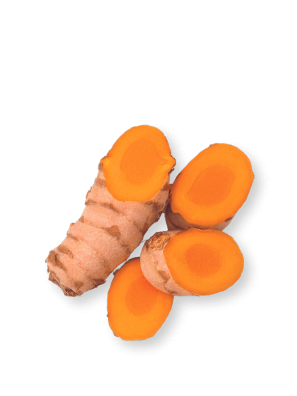 ogaenics_Zutaten_Bio-Kurkuma_900x1200pi_2023 ogaenics_Zutaten_Bio-Kurkuma