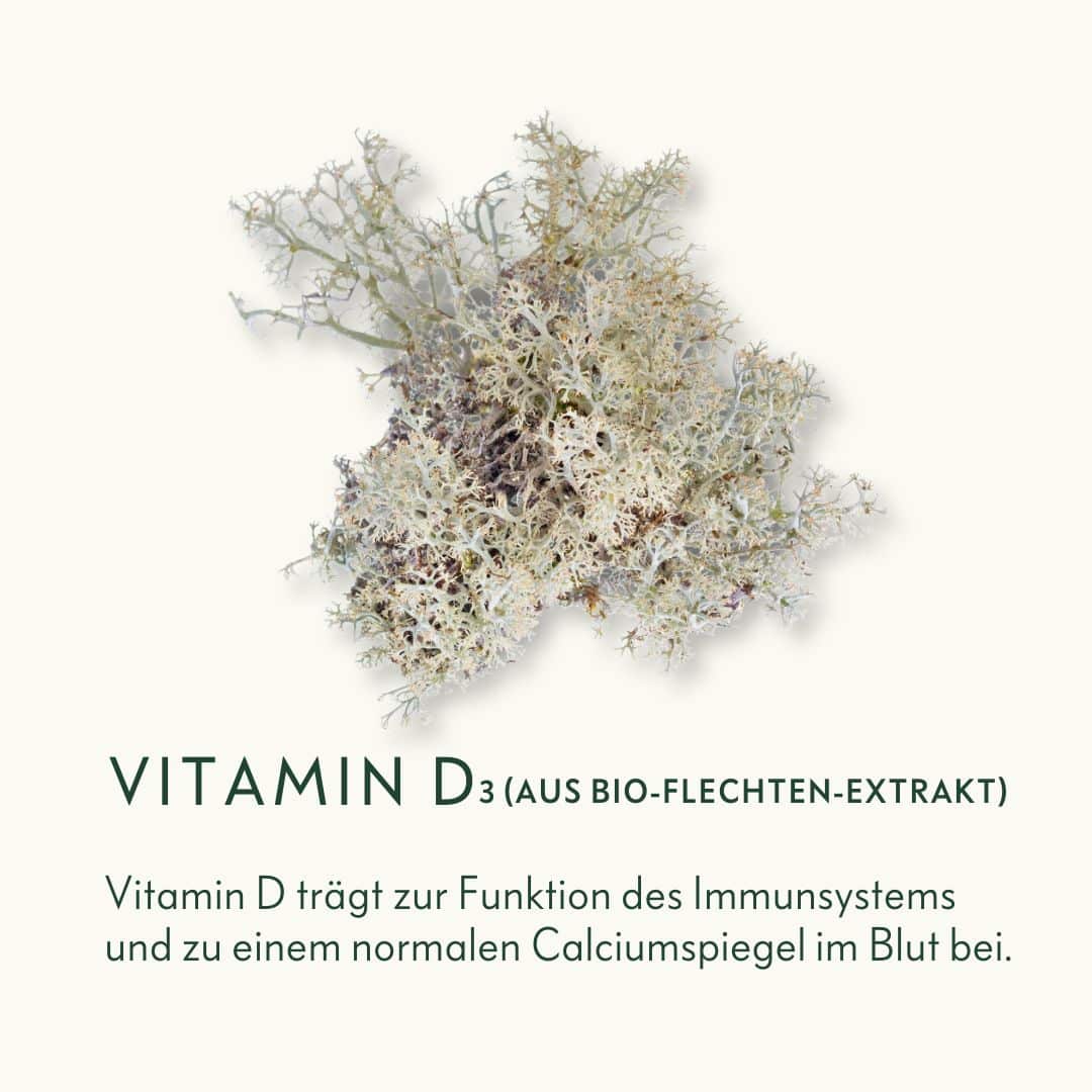 Bio-Vitamin-D3-aus-Flechten-Extrakt-Ogaenics