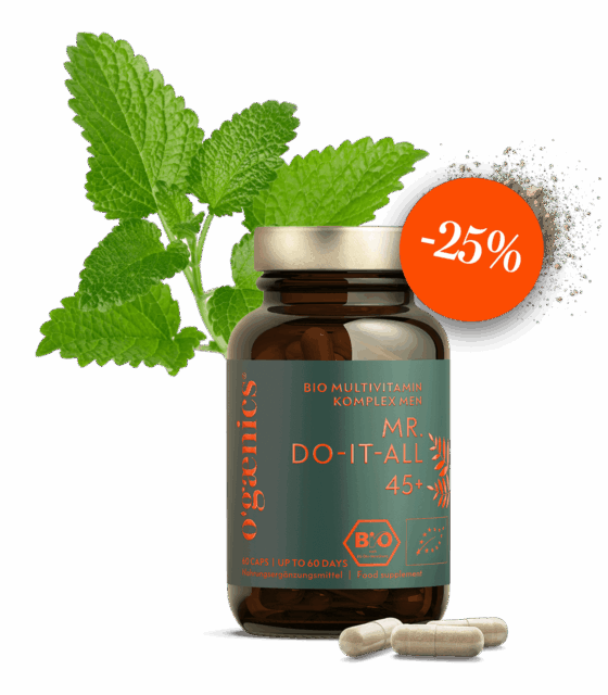 Mr Do-It-All 45+