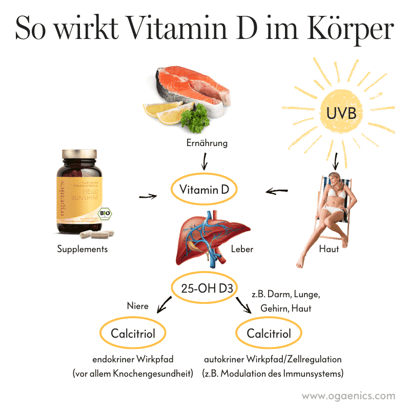 Unser Der Vitamin D Guide für Beginner Ogaenics Hello Sunshine