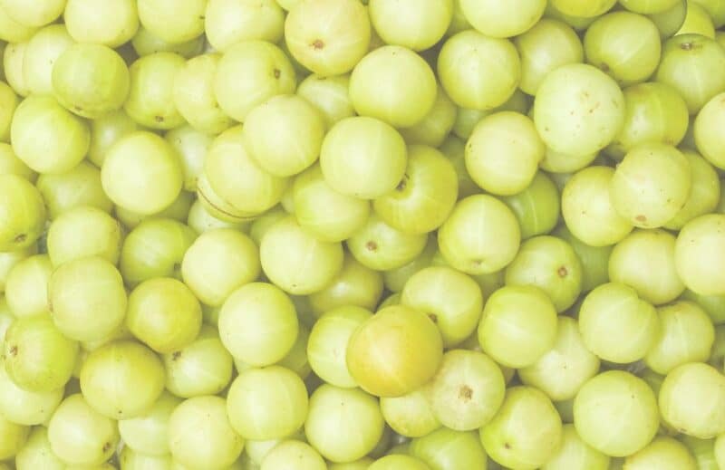 Complément alimentaire Ogaenics-Iron-Maid-Bio-fer plus vitamine (10)