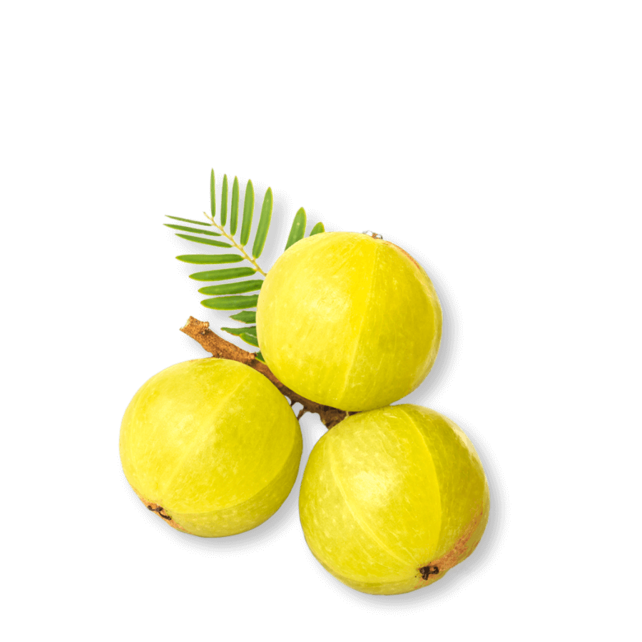 bio-amla-beeren-ogaenics-zutat-natuerlich