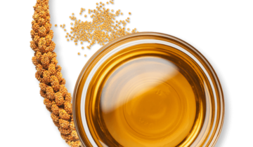Millet bio