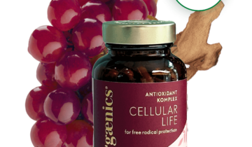 Cellular Life