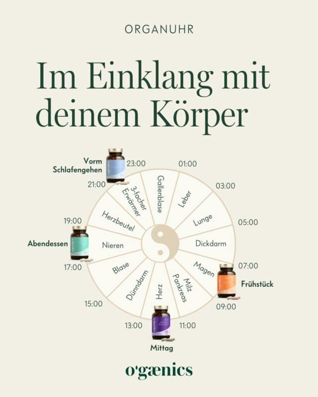 Infografik-Supplements-Einklang-Zirkadianer-Rhythmus-Organuhr