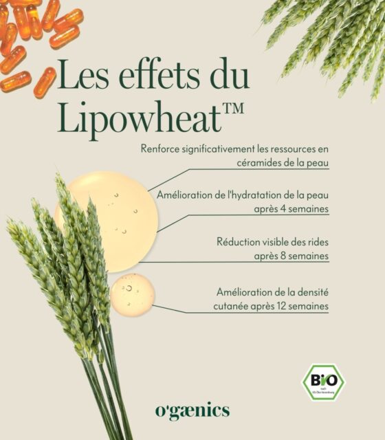 Effets-Bio-Lipowheat-Céramide-Timeles-Skin-Ogaenics