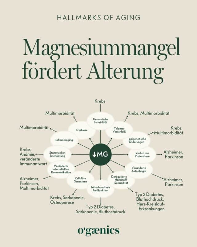 Longevity-Magnesiummangel-foerdert-Alterung-Ogaenics