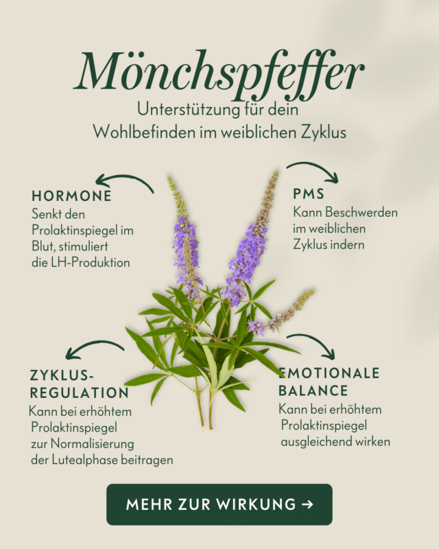Ingredient-Benefits-Mönchspfeffer-DE Ingredient-Benefits-Mönchspfeffer-DE
