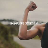 Immunsystem Energie