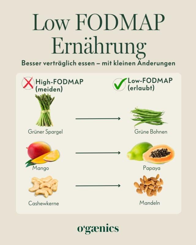 Infografik LOW FODMAP Swaps