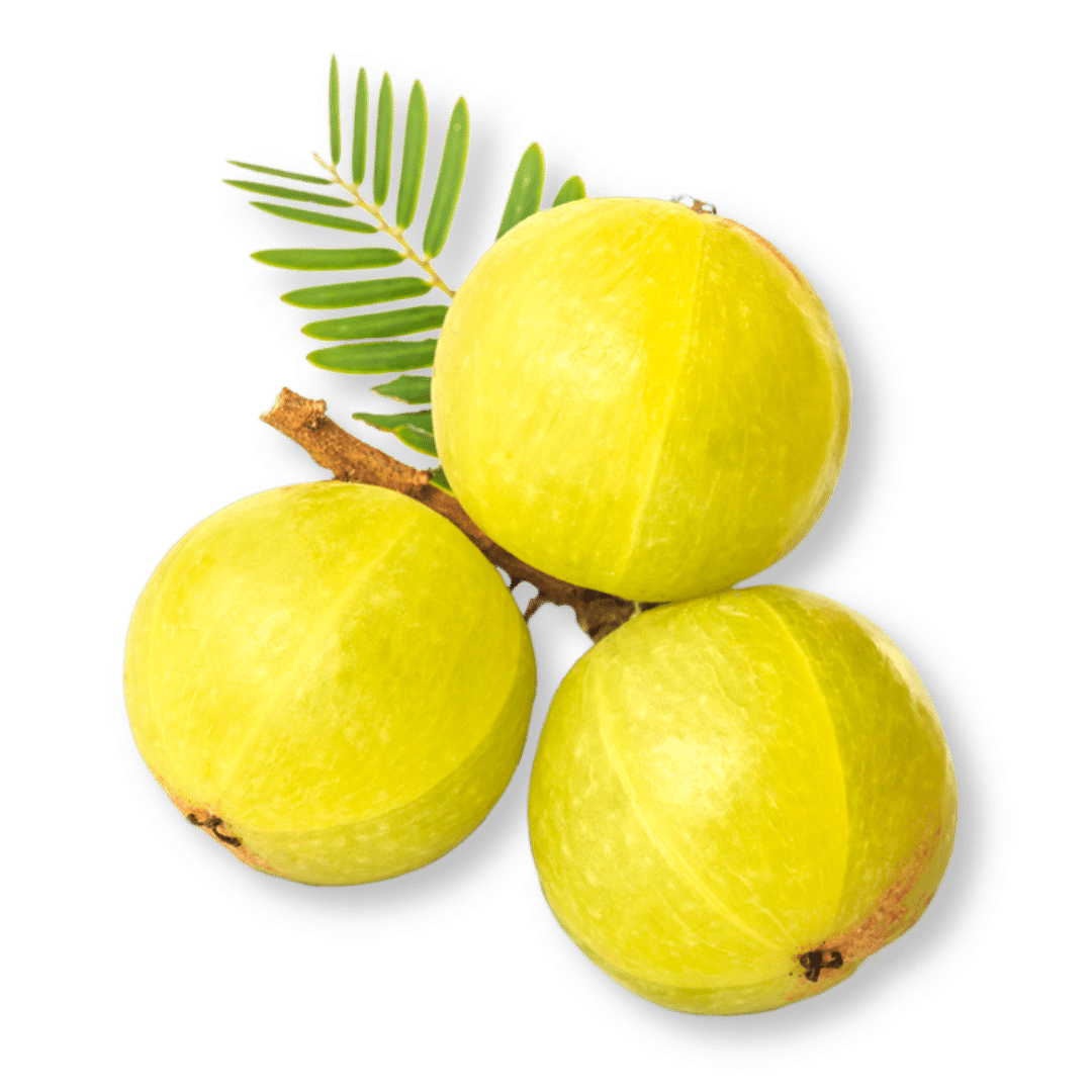 Bio Amla-Beere