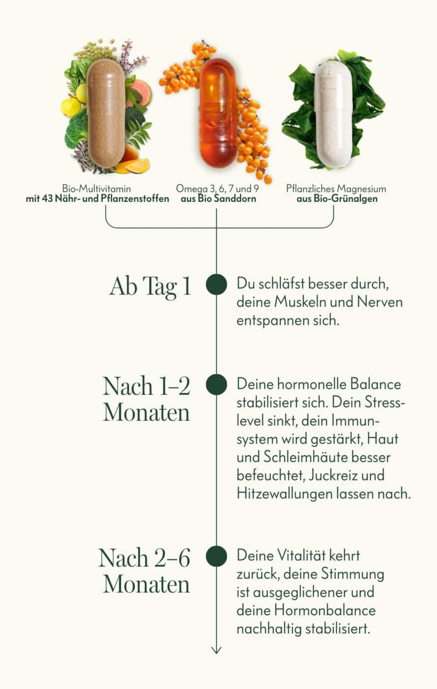 Wechseljahre-Set-LP-Timeline-mobile