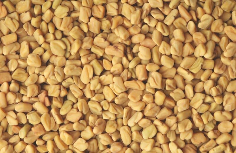 Ogaenics_metabolic-gold-bio-stoffwechsel-metabolism-komplex_care300-chrom-biotin-garcinia-gruentee-zimt-bockshornklee (2)