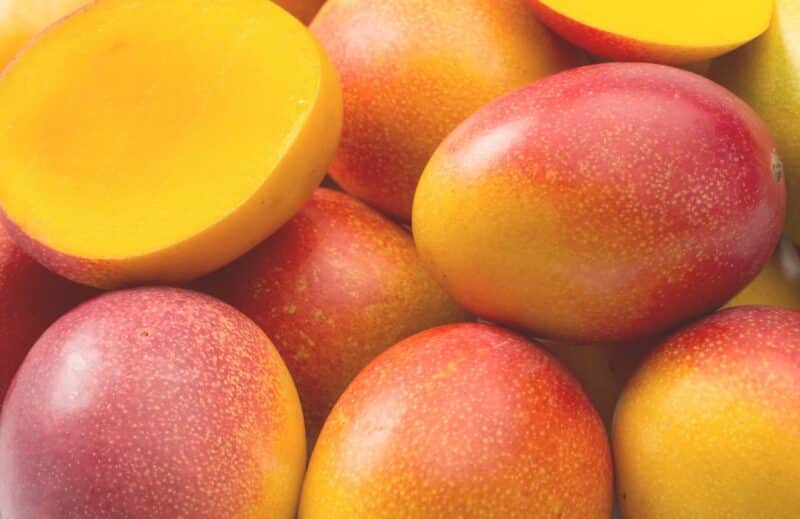 Ogaenics_metabolic-gold-bio-stoffwechsel-metabolism-komplex_care300-chrom-biotin-garcinia-grüntee-zimt-bockshornklee