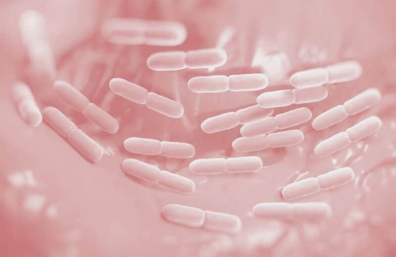 Ogaenics-Vivalaflora-Bio-Female-biotic-komplex-vagina-scheidenflora-Kapseln-synbaective-femme-blend Ogaenics-Vivalaflora-Bio-Female-biotic-komplex-vagina-scheidenflora-Kapseln-synbaective-femme-blend