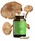 ogaenics-greenenergy-vitaminb12-muedigkeit-bio-nahrungsergaenzung.png