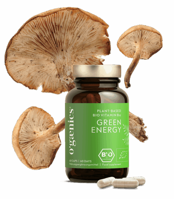 ogaenics-greenenergy-vitaminb12-muedigkeit-bio-nahrungsergaenzung.png