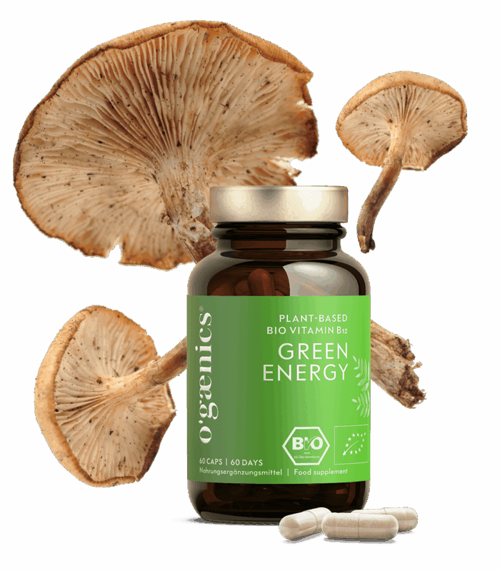 ogaenics-greenenergy-vitaminb12-muedigkeit-bio-nahrungsergaenzung.png