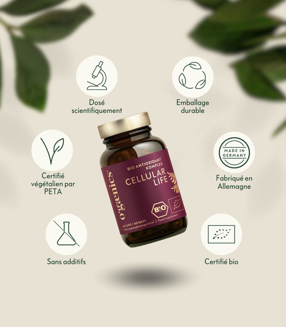 Images détaillées PDP-Cellular-Life-Antioxidant-Complex-Qualité