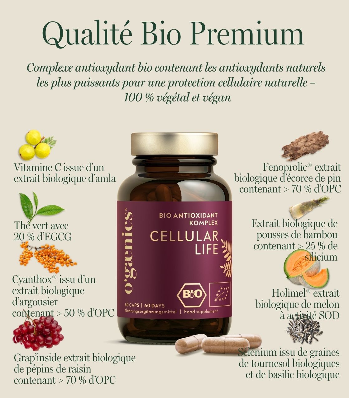 PDP-images détaillées-cellular-life-bio-antioxydant-complexe de protection cellulaire-complément alimentaire