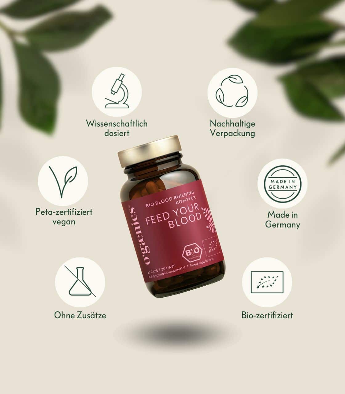 PDP-Detailbilder-Feed-Your-Blood-Bloodbuilding-Komplex-Qualität