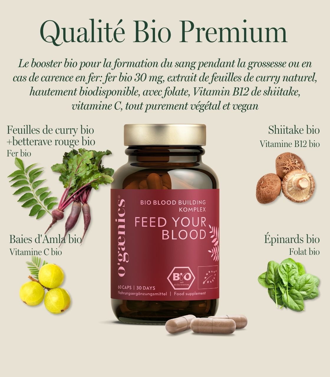 PDP-Detailbilder-Feed-your-blood-bloodbuilding-complexe-grossesse-complément-alimentaire-bio-FR