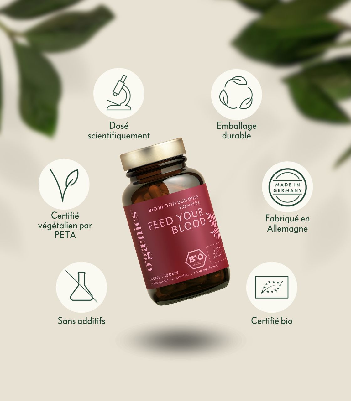 PDP-Detailbilder-complexe-feed-your-blood-blood-building-Qualität-FR