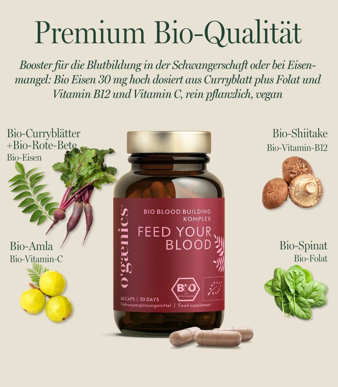 PDP-Detailbilder-feed-your-blood-bloodbuilding-komplex-schwangerschaft-bio-nahrungsergaenzung