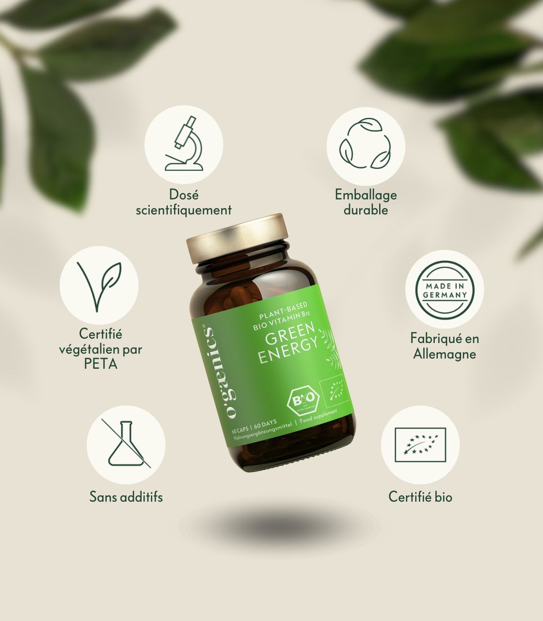 PDP-Detailbilder-green-energy-plant-based-vitamin-b12-Qualität-FR