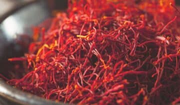 Safr’Inside™ Safran – das sagen wissenschaftliche Studien