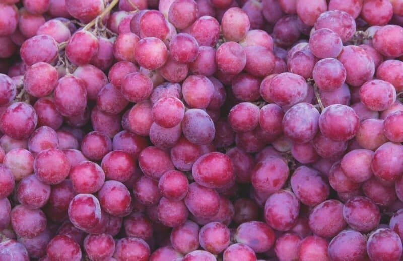 Ogaenics-PDP_Moodbilder-OPC-Deluxe-Grapinside-Bio-Traubenkernextrakt-OPC-Polyphenole-Blutdruck-schwere-beine-Haut (8) Ogaenics-PDP_Moodbilder-OPC-Deluxe-Grapinside-Bio-Traubenkernextrakt-OPC-Polyphenole-Blutdruck-schwere-beine-Haut (8)