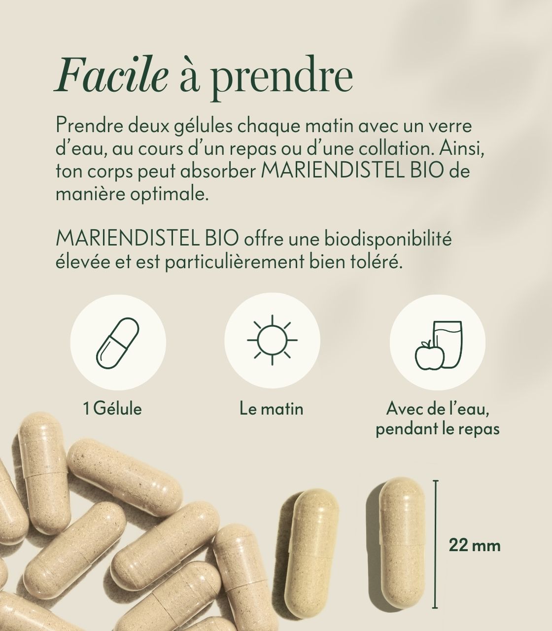 PDP-images détaillées-Bio-chardon-Marie-foie-hormone-métabolisme-prise