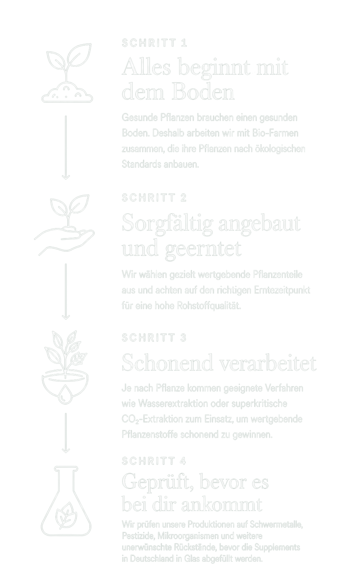 Alles-beginnt-mit-dem-Boden Alles-beginnt-mit-dem-Boden