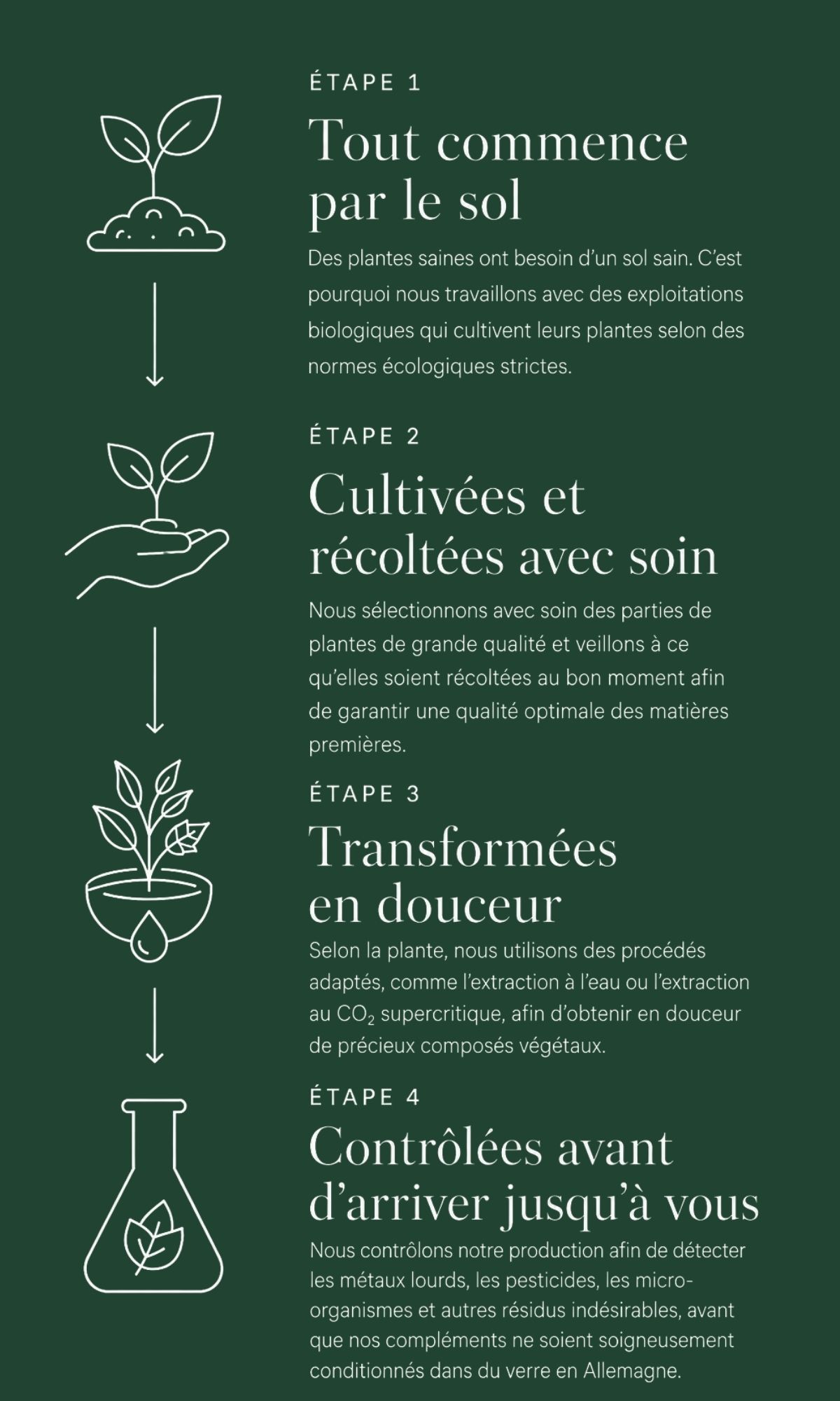 Tout-commence-par-le-sol Tout-commence-par-le-sol