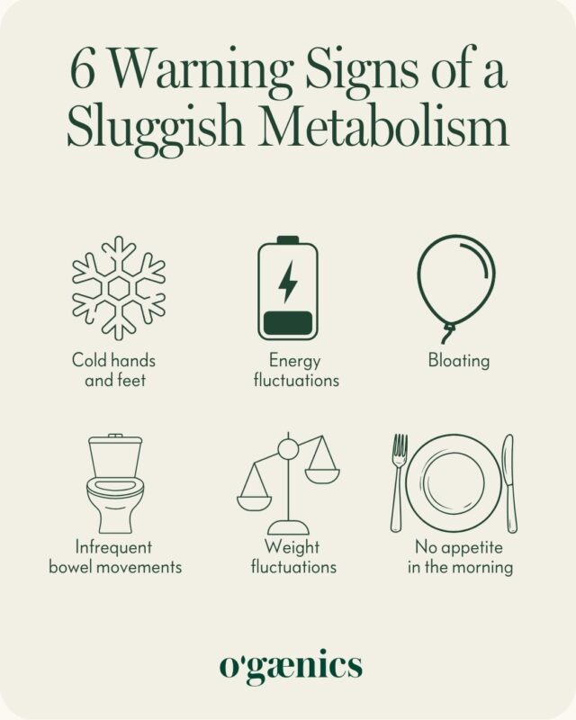 Infographic-6-Warning-signals-for-a-weakening-metabolism