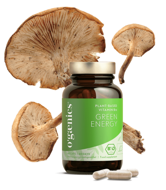 ogaenics-greenenergy-vitaminb12-muedigkeit-bio-nahrungsergaenzung.png